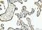 Branched Chain Keto Acid Dehydrogenase Kinase antibody, A07798-2, Boster Biological Technology, Immunohistochemistry paraffin image 