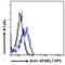 Adaptor Related Protein Complex 3 Subunit Beta 1 antibody, NBP2-61999, Novus Biologicals, Flow Cytometry image 