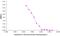 beta-Amyloid, 1-16 antibody, 805706, BioLegend, Western Blot image 