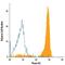 Plexin B2 antibody, FAB53291P, R&D Systems, Flow Cytometry image 