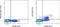 Interleukin 2 Receptor Subunit Beta antibody, 11-1228-42, Invitrogen Antibodies, Flow Cytometry image 