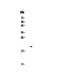 Interleukin 17C antibody, A00164-3, Boster Biological Technology, Western Blot image 