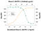 Interferon Lambda 2 antibody, AF4635, R&D Systems, Western Blot image 