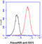 Ha-Ras antibody, GTX57577, GeneTex, Flow Cytometry image 