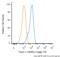 Twist Family BHLH Transcription Factor 1 antibody, NBP2-37364, Novus Biologicals, Flow Cytometry image 