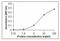 C-C Motif Chemokine Ligand 4 antibody, PA1-28319, Invitrogen Antibodies, Enzyme Linked Immunosorbent Assay image 