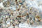 Integrin Subunit Beta 3 antibody, LS-C177915, Lifespan Biosciences, Immunohistochemistry paraffin image 