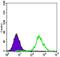 ATP Citrate Lyase antibody, MA5-17027, Invitrogen Antibodies, Flow Cytometry image 