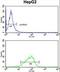 Glycerol-3-Phosphate Dehydrogenase 1 antibody, LS-C166603, Lifespan Biosciences, Flow Cytometry image 