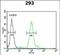 Ubiquitin-like protein FUBI antibody, PA5-71933, Invitrogen Antibodies, Flow Cytometry image 