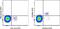 Prostaglandin D2 Receptor 2 antibody, 17-2949-41, Invitrogen Antibodies, Flow Cytometry image 