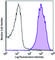 TRA-2-49 antibody, 358803, BioLegend, Flow Cytometry image 