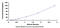 Lipoprotein a antibody, MBS2020498, MyBioSource, Enzyme Linked Immunosorbent Assay image 