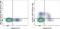 Killer Cell Lectin Like Receptor G1 antibody, 47-9488-42, Invitrogen Antibodies, Flow Cytometry image 