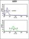 DnaJ Heat Shock Protein Family (Hsp40) Member B1 antibody, orb214068, Biorbyt, Flow Cytometry image 