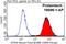 Actinin Alpha 4 antibody, 19096-1-AP, Proteintech Group, Flow Cytometry image 