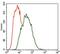 Microtubule Affinity Regulating Kinase 3 antibody, GTX60648, GeneTex, Flow Cytometry image 