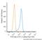 T-cell receptor beta chain V region 86T1 antibody, NBP2-50355AF488, Novus Biologicals, Flow Cytometry image 