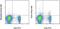 T Cell Immunoreceptor With Ig And ITIM Domains antibody, 50-9501-82, Invitrogen Antibodies, Flow Cytometry image 