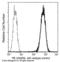 Asialoglycoprotein Receptor 2 antibody, 13908-R002-P, Sino Biological, Flow Cytometry image 