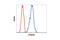 Tubulin antibody, 2146S, Cell Signaling Technology, Flow Cytometry image 