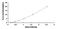 Semaphorin 7A (John Milton Hagen Blood Group) antibody, MBS2023215, MyBioSource, Enzyme Linked Immunosorbent Assay image 