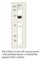 Beta-secretase 2 antibody, BACE-212AP, FabGennix, Western Blot image 