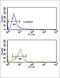 Corticotropin Releasing Hormone Receptor 2 antibody, abx032983, Abbexa, Flow Cytometry image 