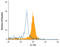 Interleukin 17B antibody, AF1709, R&D Systems, Flow Cytometry image 