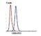 Ribosomal Protein S6 Kinase A6 antibody, orb378404, Biorbyt, Flow Cytometry image 