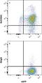 Ferroportin-1 antibody, NBP2-75923, Novus Biologicals, Flow Cytometry image 