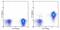 Interleukin 7 Receptor antibody, 11-1278-42, Invitrogen Antibodies, Flow Cytometry image 