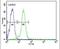 Rubicon Like Autophagy Enhancer antibody, PA5-25786, Invitrogen Antibodies, Flow Cytometry image 