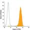 Integrin Subunit Alpha 3 antibody, FAB1345F, R&D Systems, Flow Cytometry image 