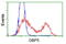 Guanylate-binding protein 5 antibody, TA502286, Origene, Flow Cytometry image 