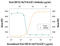 Cytomegalovirus UL146 antibody, MAB620, R&D Systems, Neutralising image 