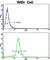 AXL Receptor Tyrosine Kinase antibody, abx033507, Abbexa, Western Blot image 