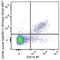 C-C Motif Chemokine Receptor 2 antibody, 150615, BioLegend, Flow Cytometry image 