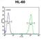 Ectonucleoside Triphosphate Diphosphohydrolase 3 antibody, abx025868, Abbexa, Flow Cytometry image 