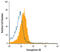 Semaphorin-4B antibody, AF5485, R&D Systems, Flow Cytometry image 