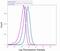 TSC Complex Subunit 2 antibody, 710395, Invitrogen Antibodies, Flow Cytometry image 