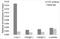 CCCTC-Binding Factor antibody, LS-C748328, Lifespan Biosciences, Chromatin Immunoprecipitation image 