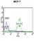 LUC7 Like 2, Pre-MRNA Splicing Factor antibody, abx034418, Abbexa, Western Blot image 