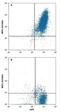 Solute Carrier Family 16 Member 1 antibody, FAB8275P, R&D Systems, Flow Cytometry image 