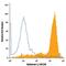 Syndecan 1 antibody, MA5-23540, Invitrogen Antibodies, Flow Cytometry image 