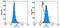 Hepatitis A Virus Cellular Receptor 2 antibody, 14-5871-82, Invitrogen Antibodies, Flow Cytometry image 