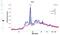 Bone Marrow Stromal Cell Antigen 2 antibody, NBP2-45265, Novus Biologicals, Western Blot image 