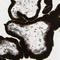 Growth Differentiation Factor 15 antibody, NBP1-81050, Novus Biologicals, Immunohistochemistry frozen image 