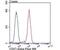 CD27 Molecule antibody, NBP2-75434, Novus Biologicals, Flow Cytometry image 