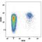 C-X-C Motif Chemokine Receptor 4 antibody, FAB170B, R&D Systems, Flow Cytometry image 